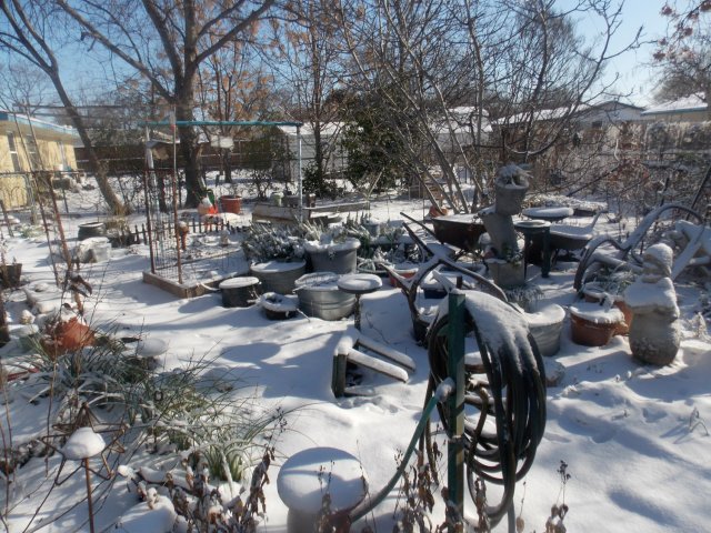 snow11a.JPG