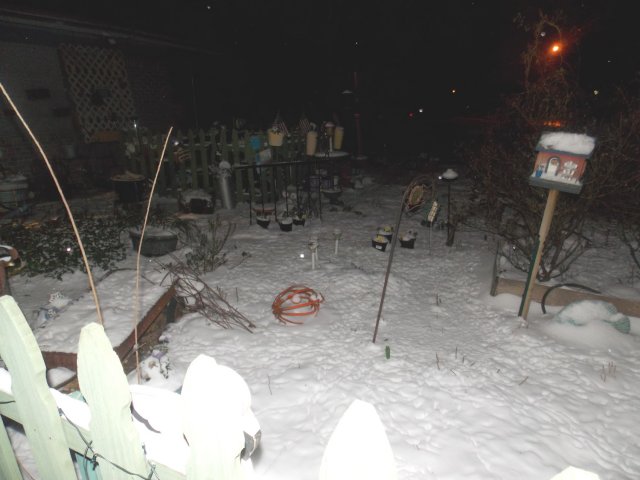 Snow15.JPG