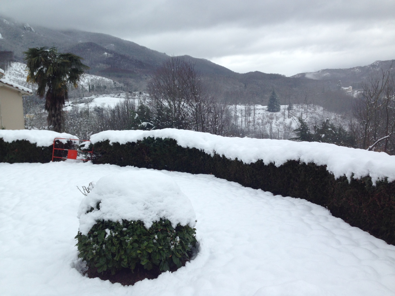 snow2.JPG