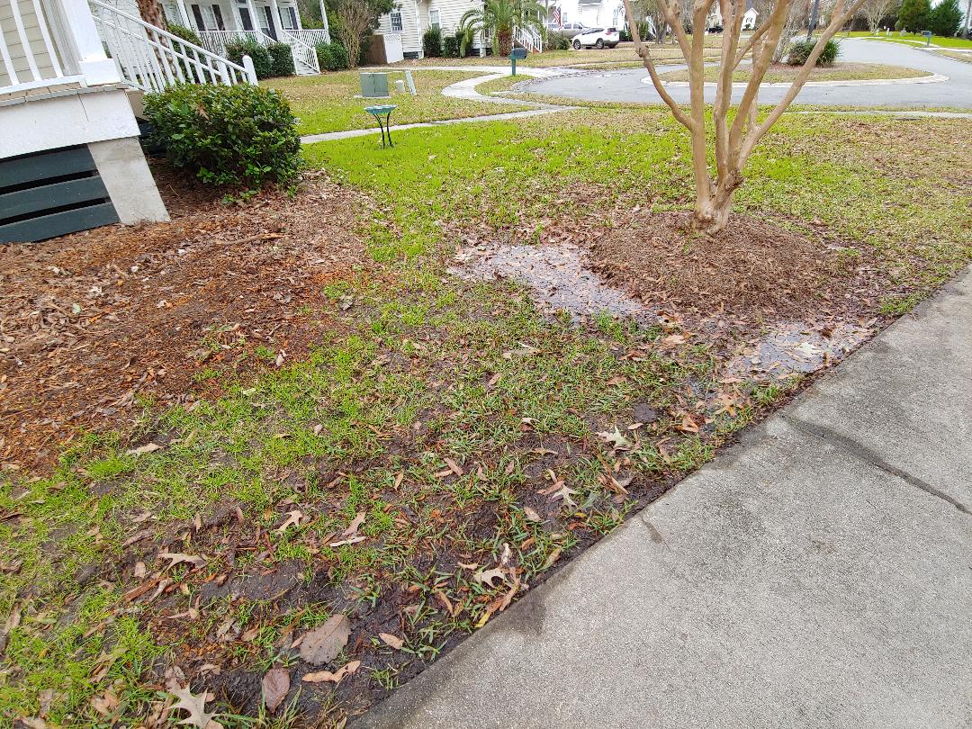 Soggy Yard.jpg