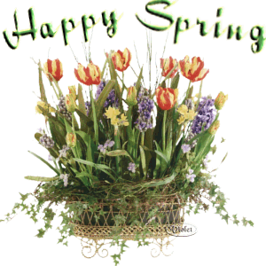 Spring%20Freebie.gif