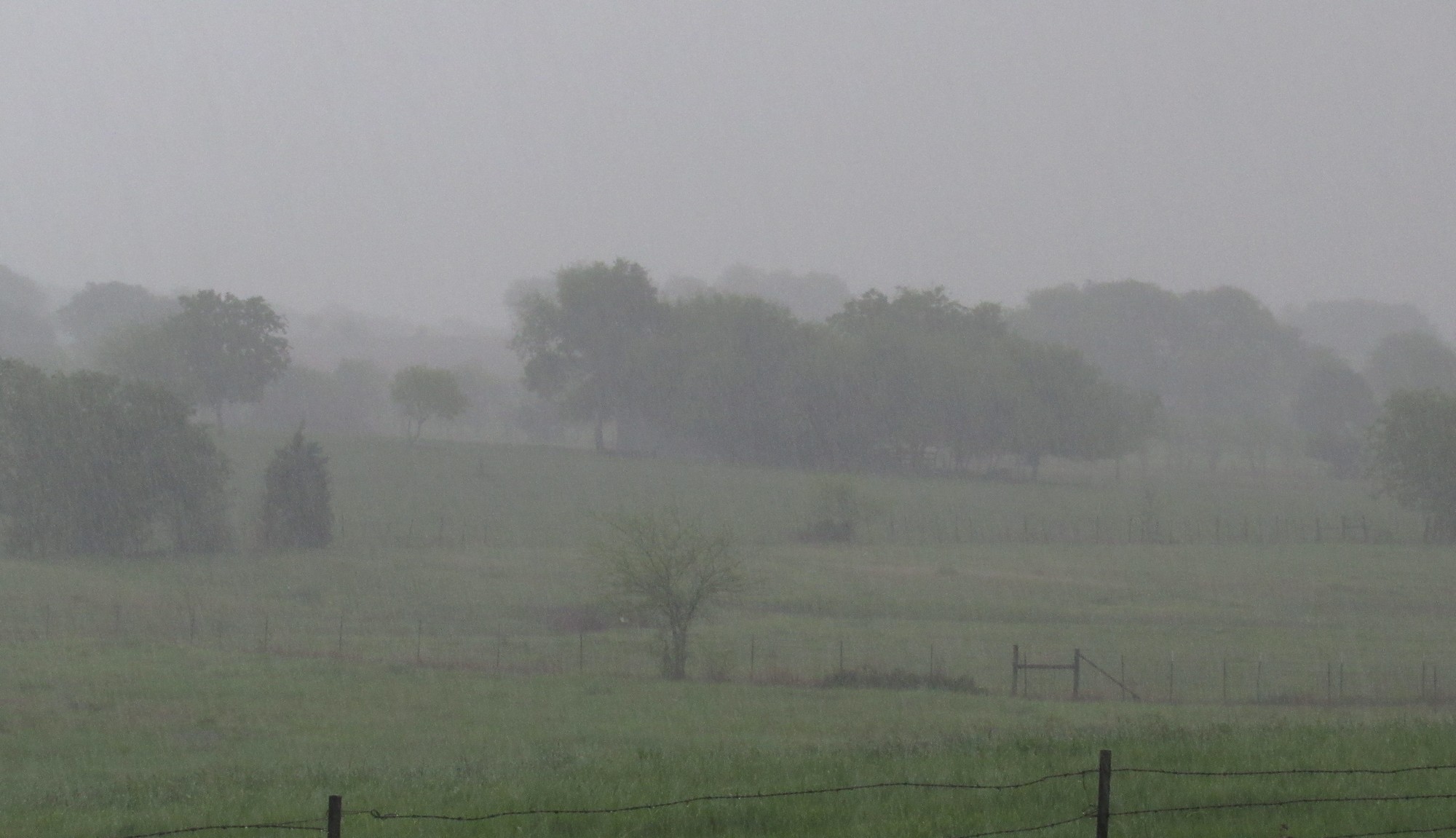 Spring Shower.jpg