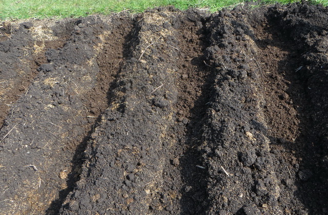 spuds11e.jpg