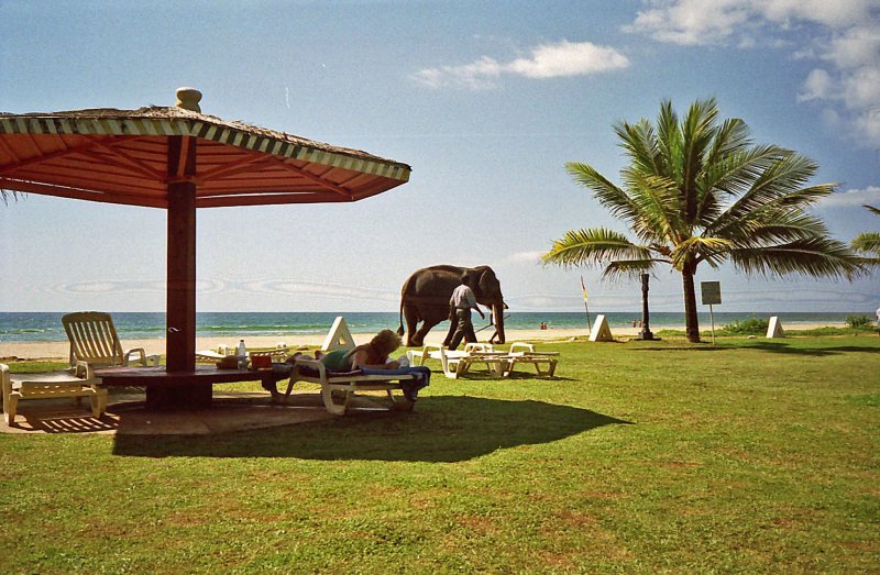 Sri Lanka 1997 -155.jpg