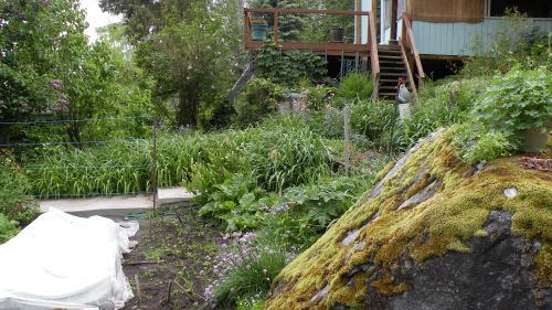stair way garden.JPG