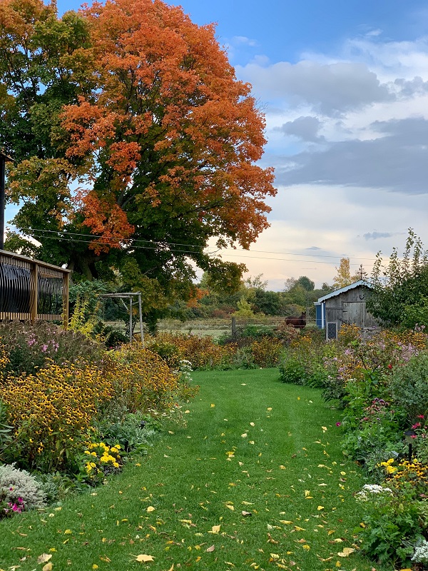 Starting to feel like fall.jpg
