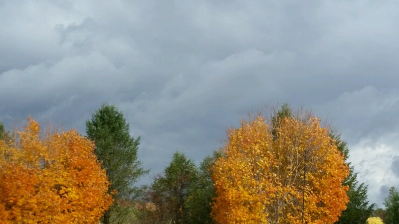 storm2.jpg