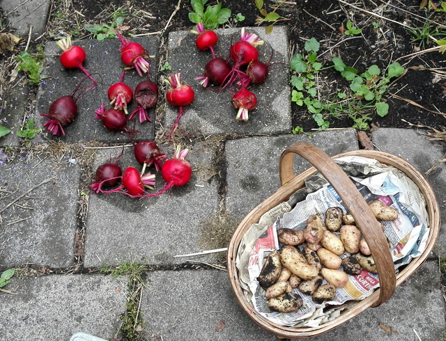 strawbby.jpg