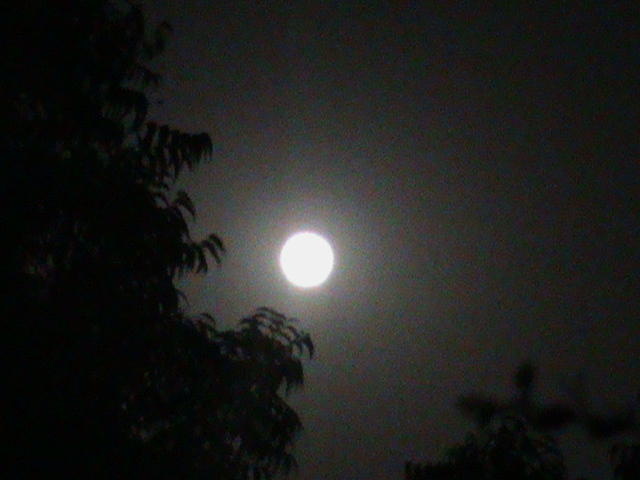 Supermoon.JPG