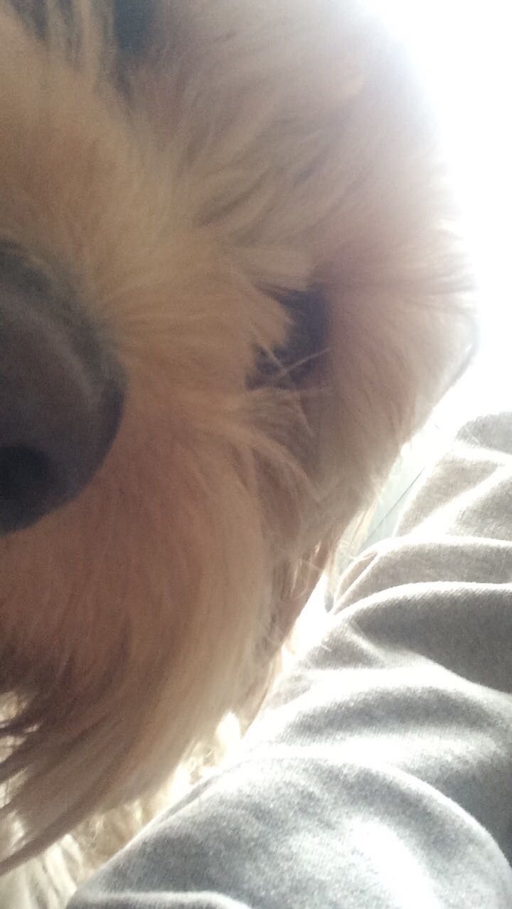 Ted Selfie.jpg