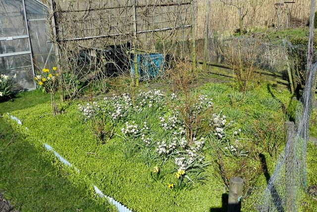 thuis6a.jpg