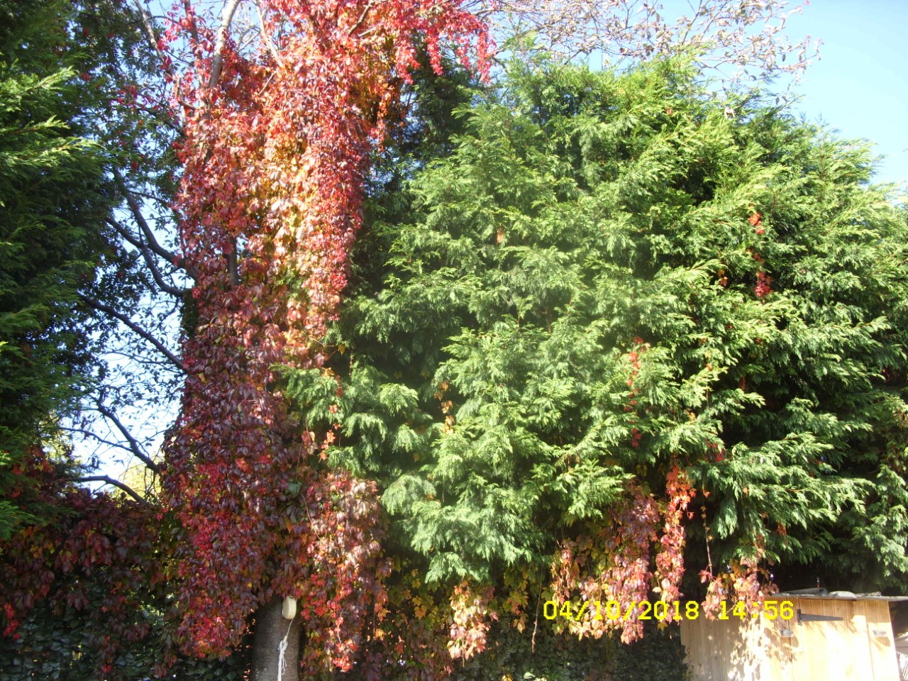thumbnail_SDC17452.jpg