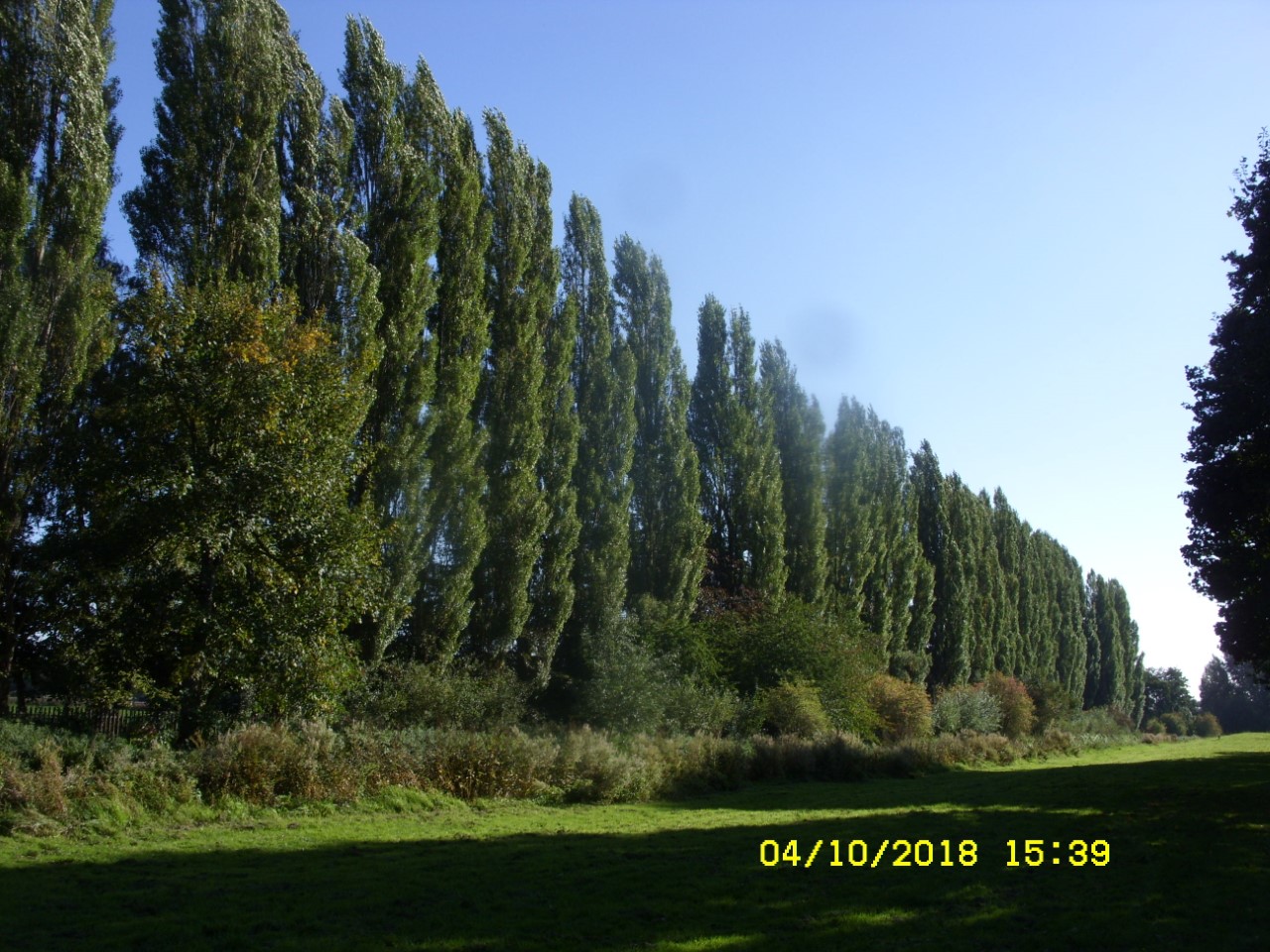thumbnail_SDC17497.jpg