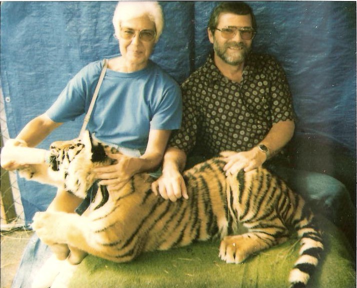 Tiger.jpg
