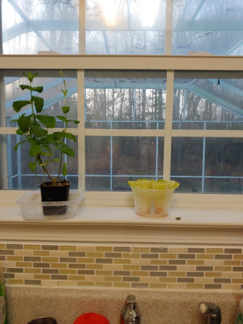 Time to Grow (1-2-19).jpg