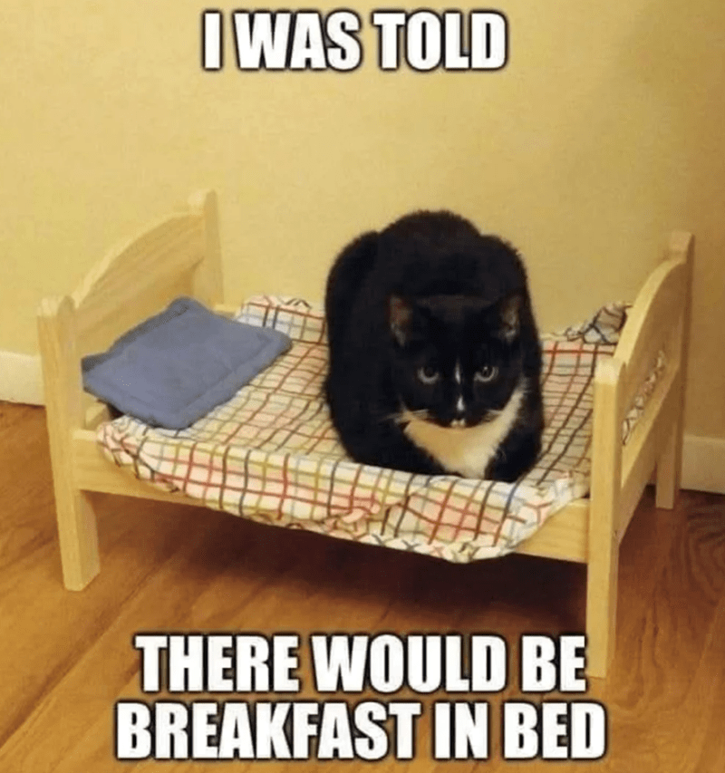 told-there-would-be-breakfast-bed.png