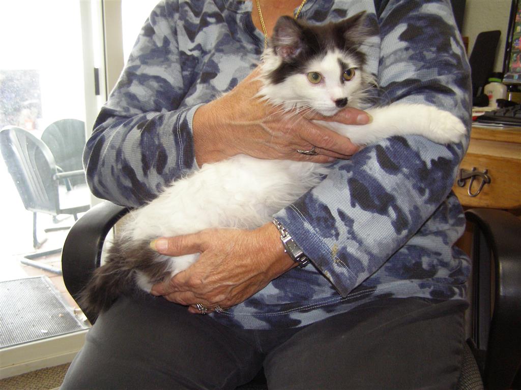 Tom Tom 002 (Medium).JPG