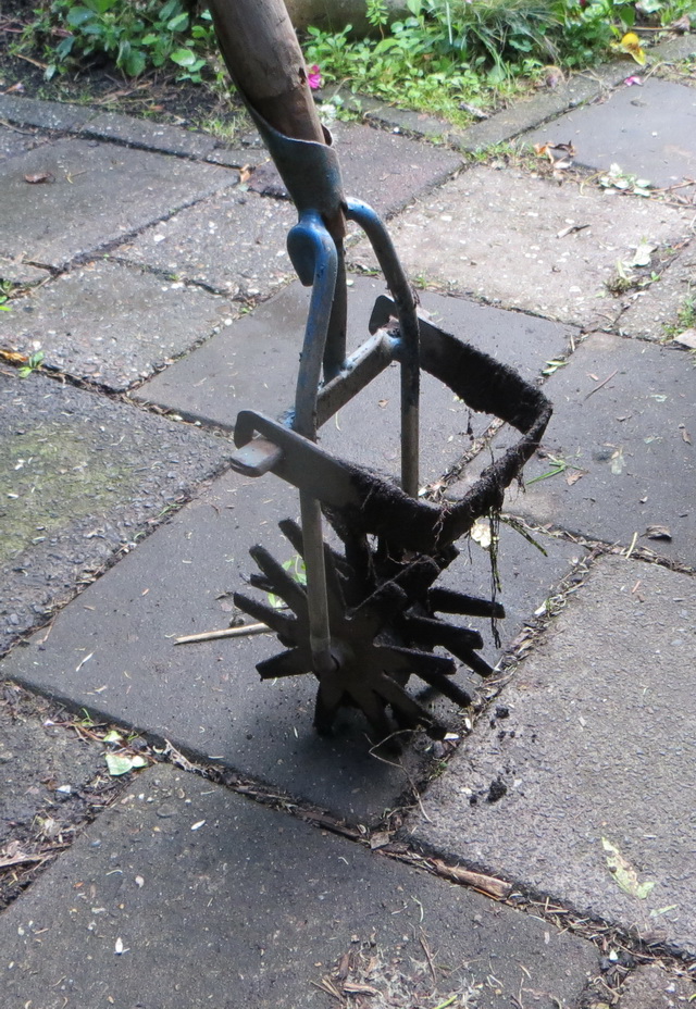 tom06.jpg