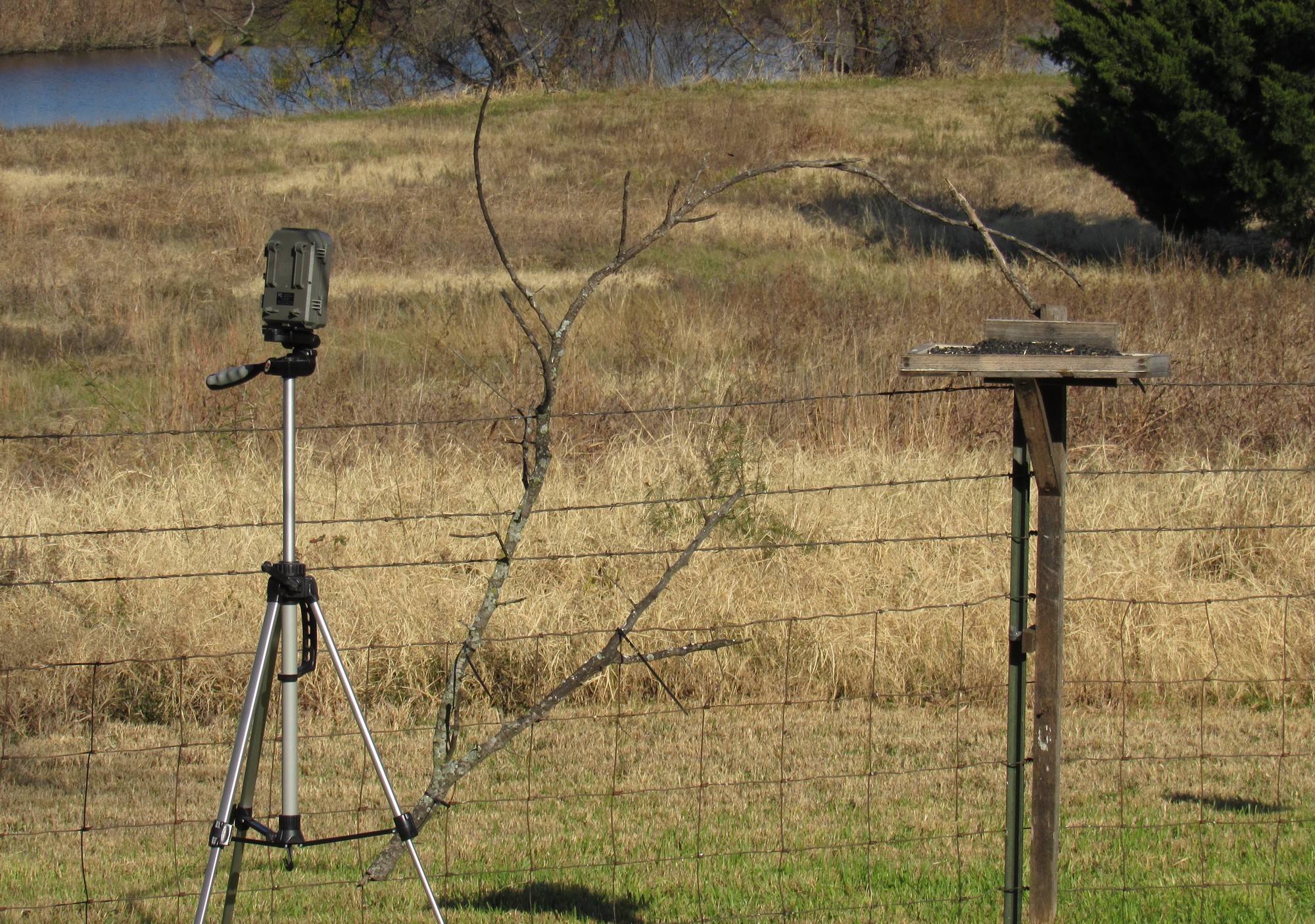 Trail Camera.jpg