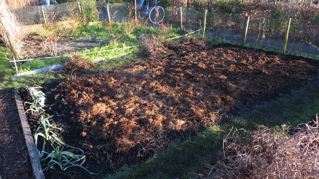 tuin.jpg