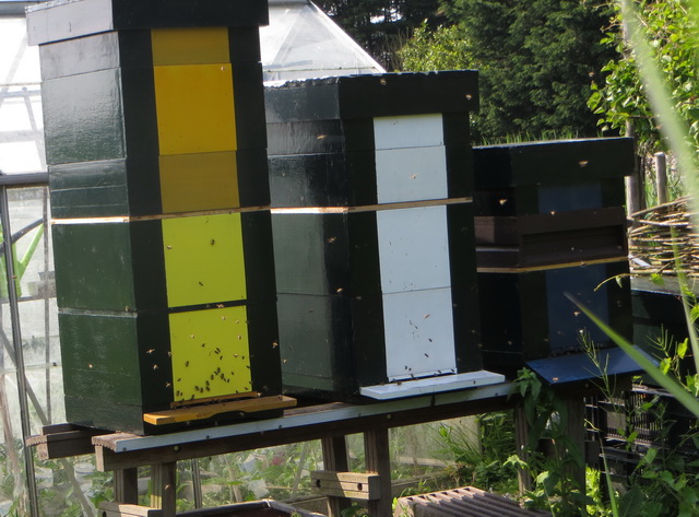 tuin01.jpg