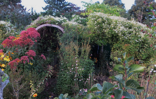 tuin02.jpg