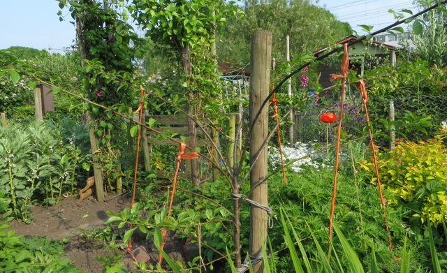 tuin06.jpg