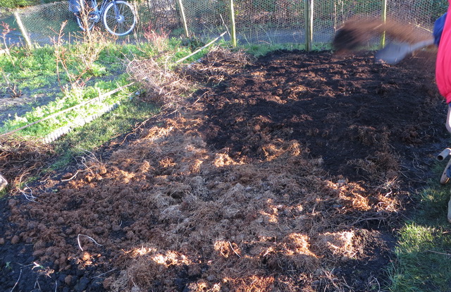 tuin2.jpg