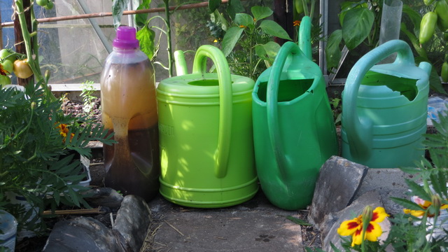 tuin2.jpg