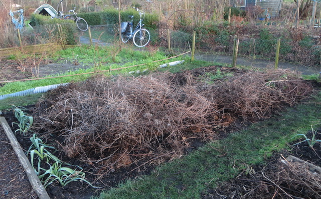 tuin3.jpg