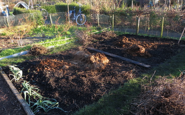tuin4.jpg