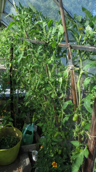 tuin4a.jpg