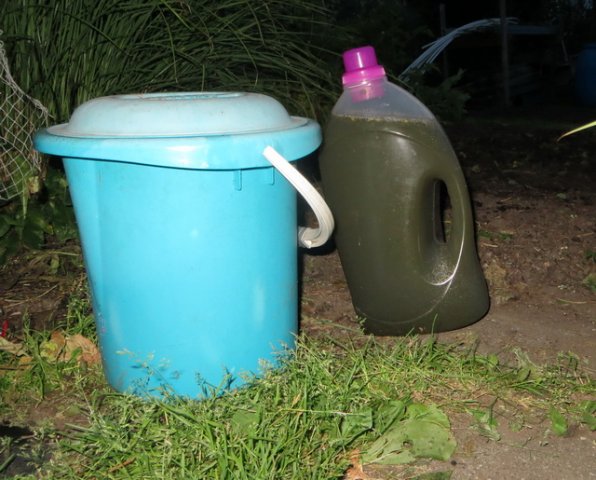 tuin9 B.jpg