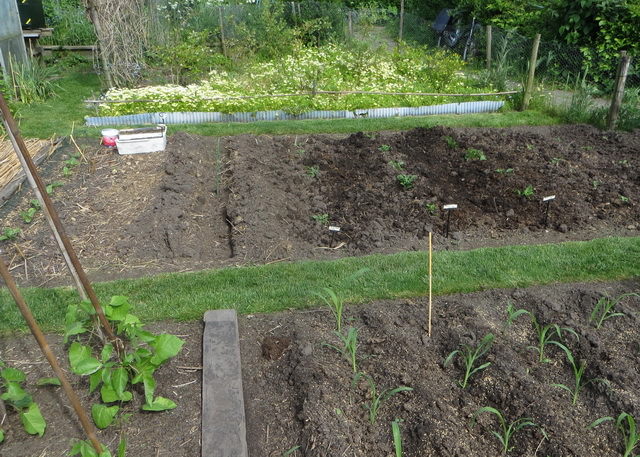 tuin9d.jpg
