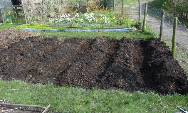 tuin9e.jpg
