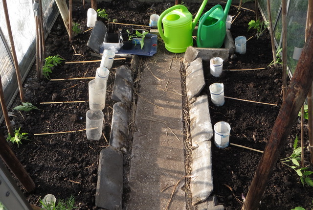 tuin9f.jpg