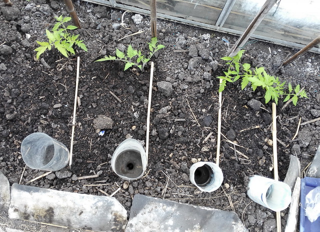 tuin9z.jpg