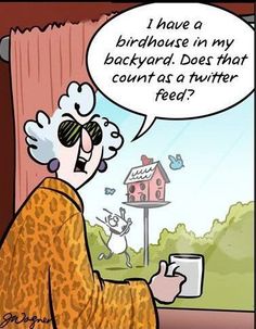 Twitterfeed.jpg