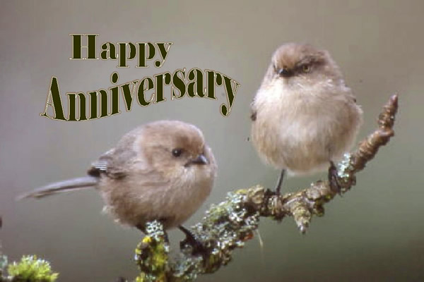 TwoAnniv.jpg
