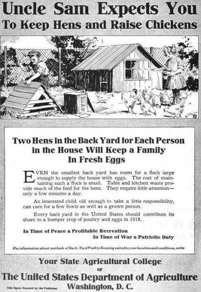 uncle-sam-wants-chickens.jpg