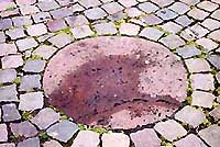 upload_2020-12-28_2-16-6.jpeg