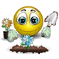 upload_2024-4-26_9-49-48.png