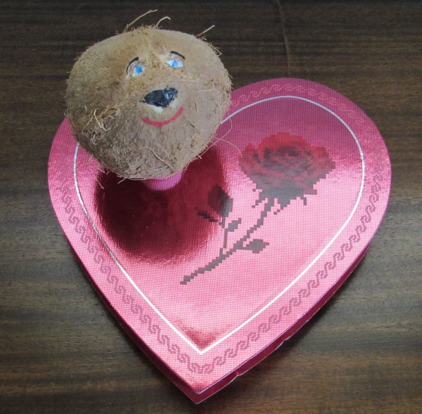 Valentine Kevin.jpg