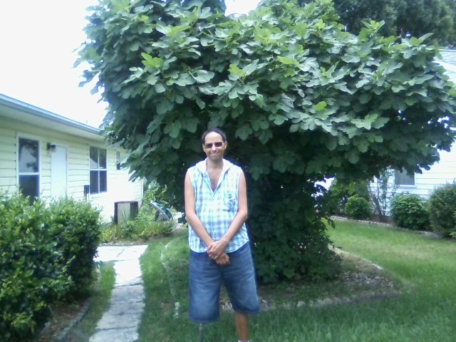 Vincent and fig tree side of house.jpg