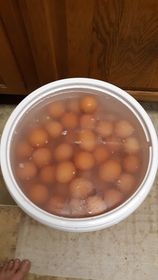 water glass bucket 216.jpg