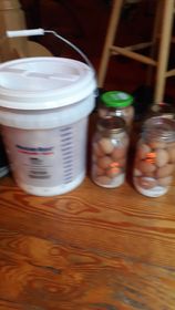 water glass eggs.jpg