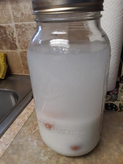 water glassing eggs 1.jpg
