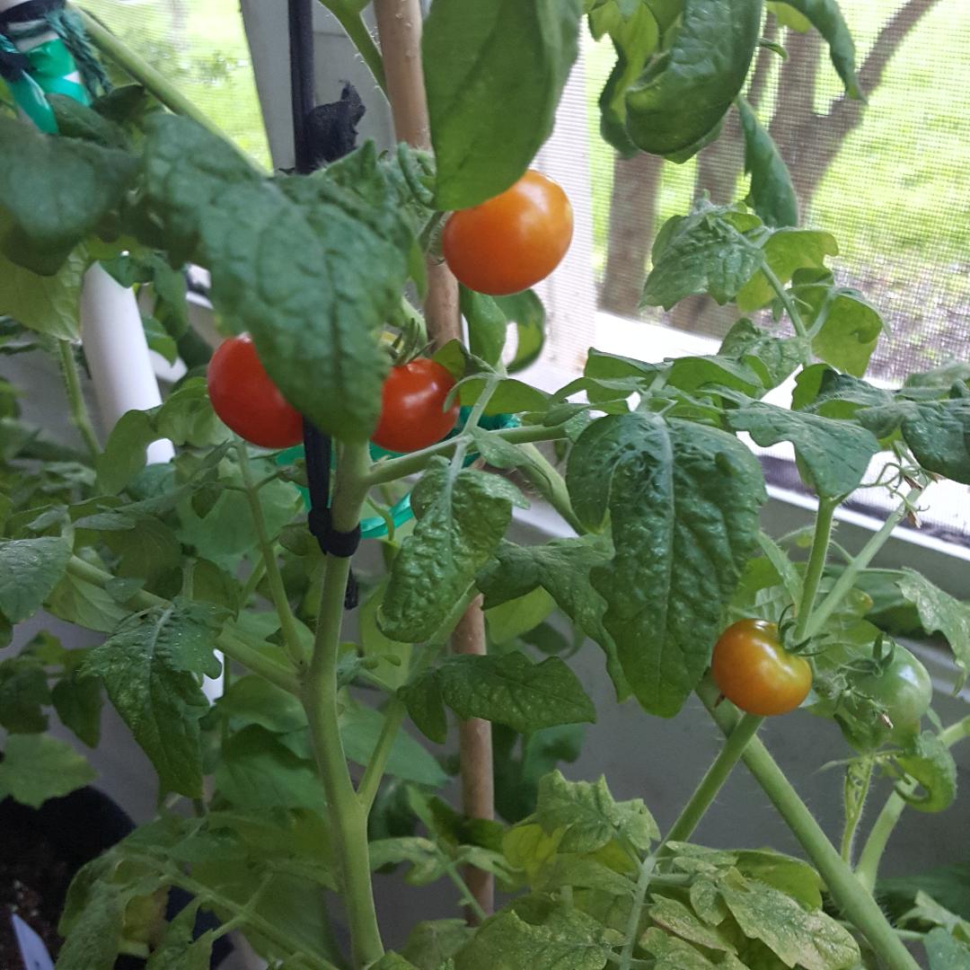 We have lift off!!!.jpg