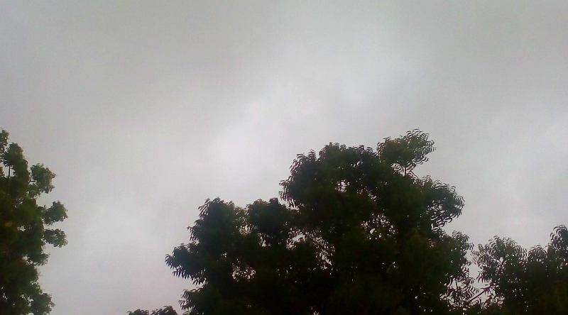 Weather 7.jpg