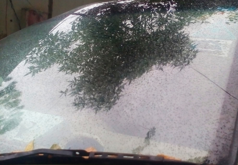 Weather 8.jpg